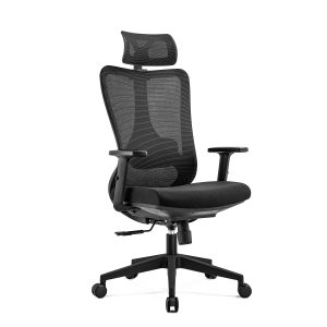 EM-B1 with  headrest